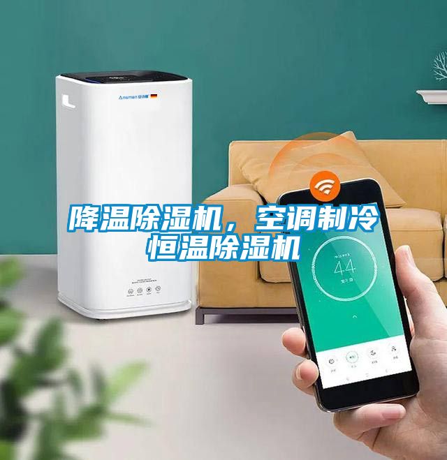 降溫除濕機,空調制冷恒溫除濕機