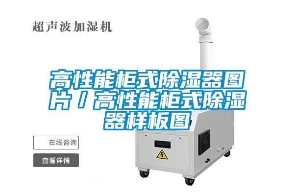 高性能柜式除濕器圖片/高性能柜式除濕器樣板圖