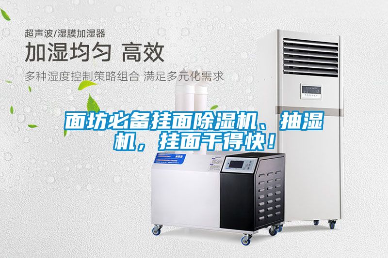 面坊必備掛面除濕機、抽濕機，掛面干得快！