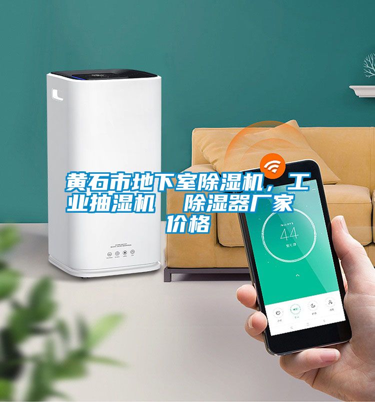 黃石市地下室除濕機,工業抽濕機 除濕器廠家 價格