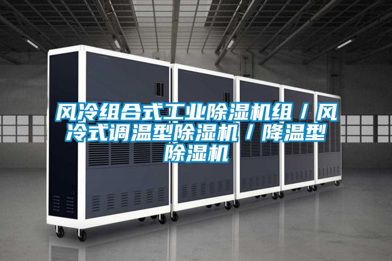 風冷組合式工業除濕機組/風冷式調溫型除濕機/降溫型除濕機