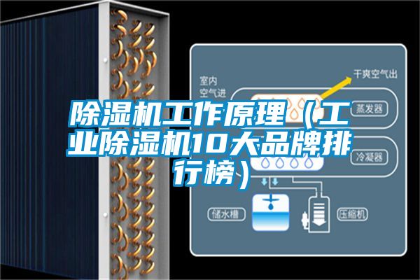 除濕機工作原理（工業除濕機10大品牌排行榜）