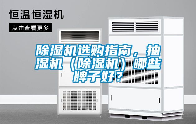 除濕機選購指南，抽濕機（除濕機）哪些牌子好？