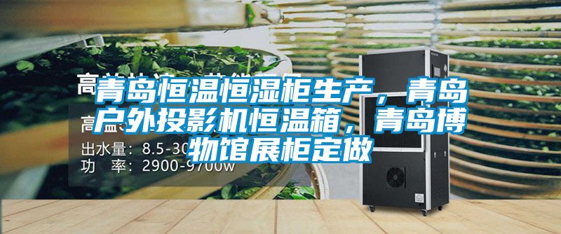 青島恒溫恒濕柜生產,青島戶外投影機恒溫箱,青島博物館展柜定做