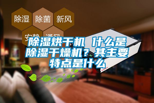 除濕烘干機 什么是除濕干燥機?其主要特點是什么