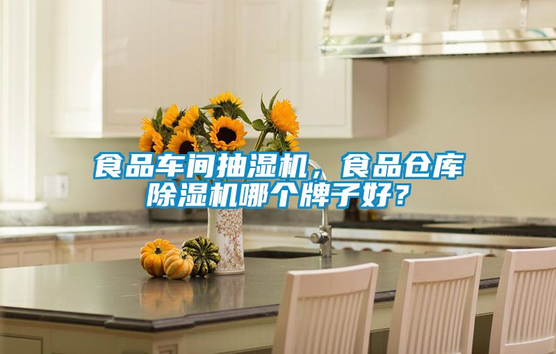 食品車間抽濕機,食品倉庫除濕機哪個牌子好?