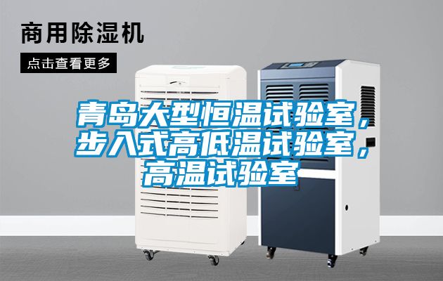 青島大型恒溫試驗室，步入式高低溫試驗室，高溫試驗室