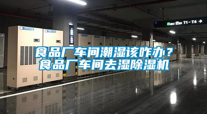 食品廠車間潮濕該咋辦?食品廠車間去濕除濕機(jī)