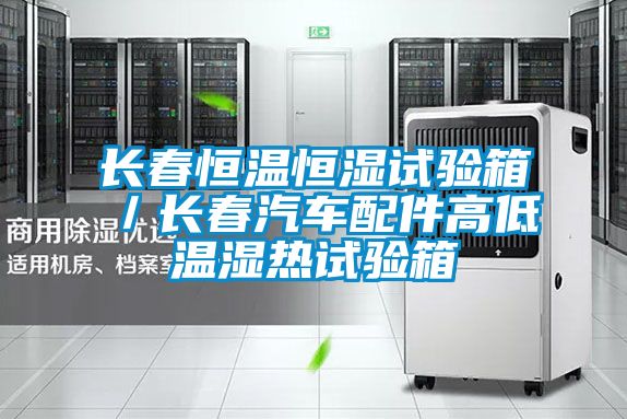 長春恒溫恒濕試驗箱/長春汽車配件高低溫濕熱試驗箱