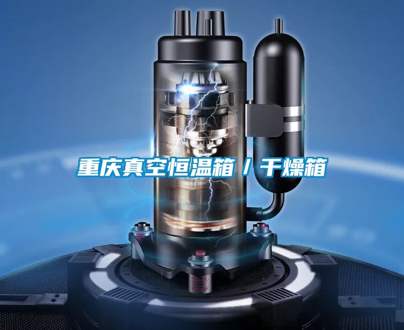 重慶真空恒溫箱/干燥箱