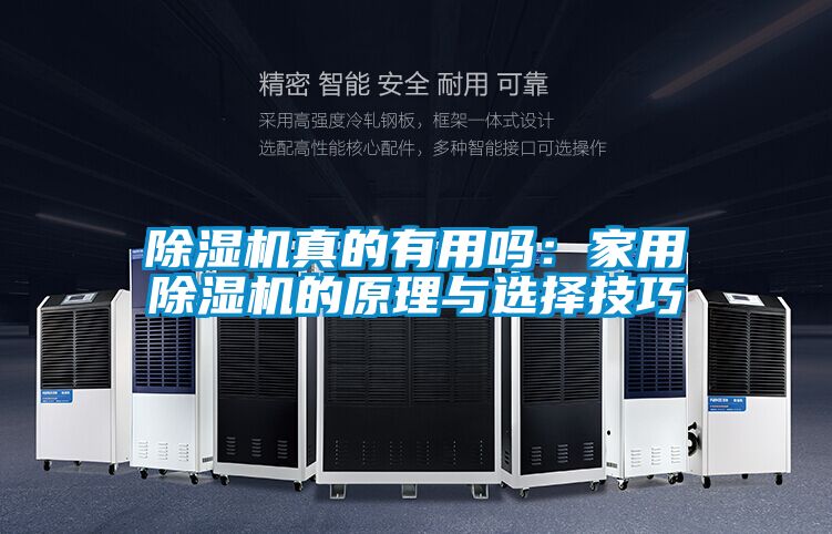 除濕機真的有用嗎:家用除濕機的原理與選擇技巧