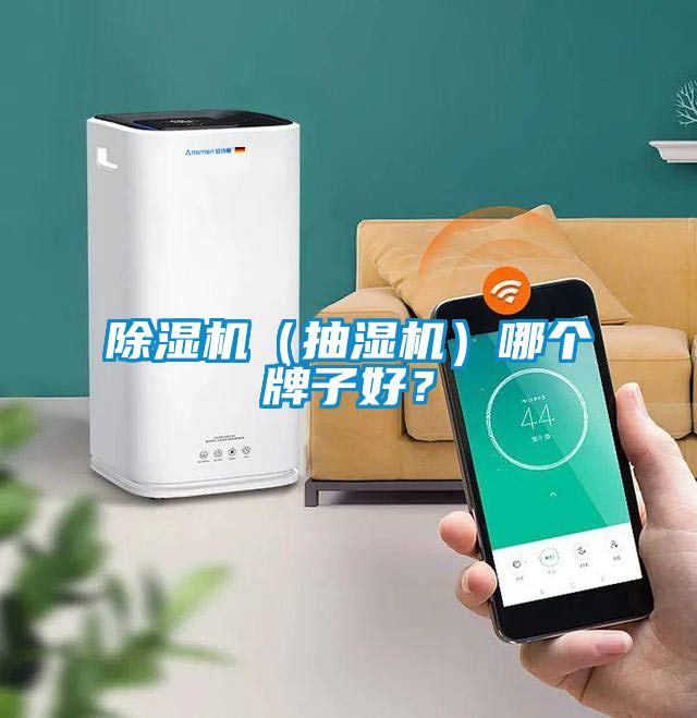 除濕機(jī)(抽濕機(jī))哪個(gè)牌子好?