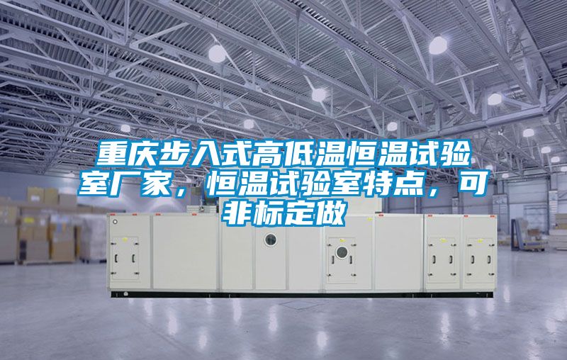 重慶步入式高低溫恒溫試驗(yàn)室廠家,恒溫試驗(yàn)室特點(diǎn),可非標(biāo)定做