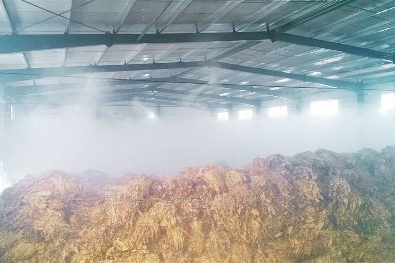 提升煙葉加工質量,高效回潮很重要 煙葉除濕機