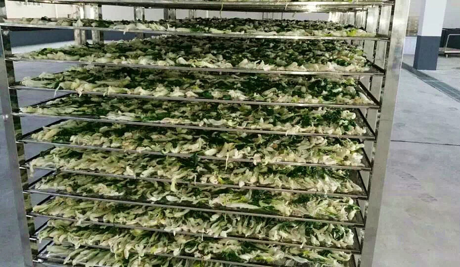 菜干需求一直都很大,蔬菜烘干機(jī)很有市場(chǎng)