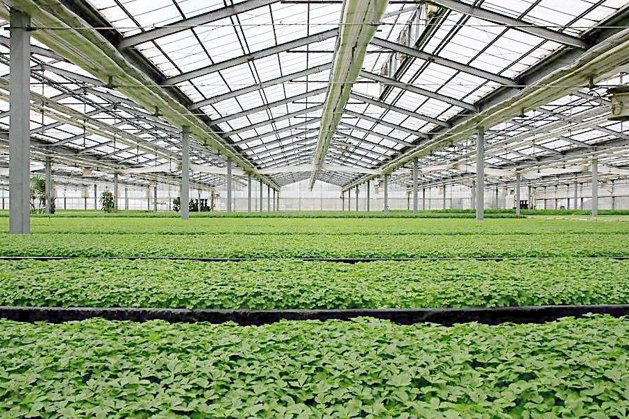 除濕器如何解決高濕度、多種危害的溫室除濕問題？